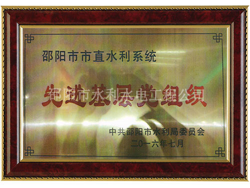 先进基层党组织